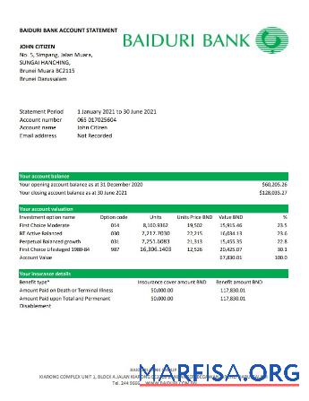 Realistic Brunei Baiduri bank statement excel real example